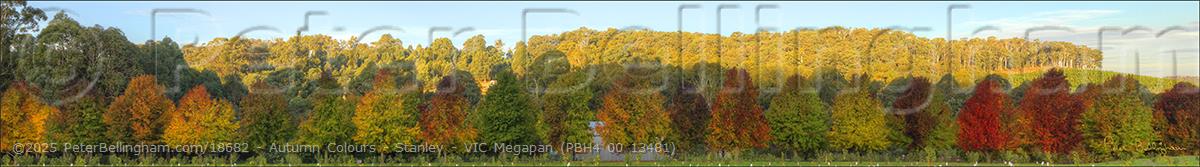 Peter Bellingham Photography Autumn Colours - Stanley - VIC Megapan (PBH4 00 13481)